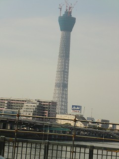 スカイタワー建築中